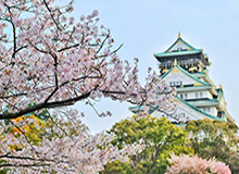半岛体育app下载-莱利：联赛重启要遵从科学 球队现在每周都有训练
